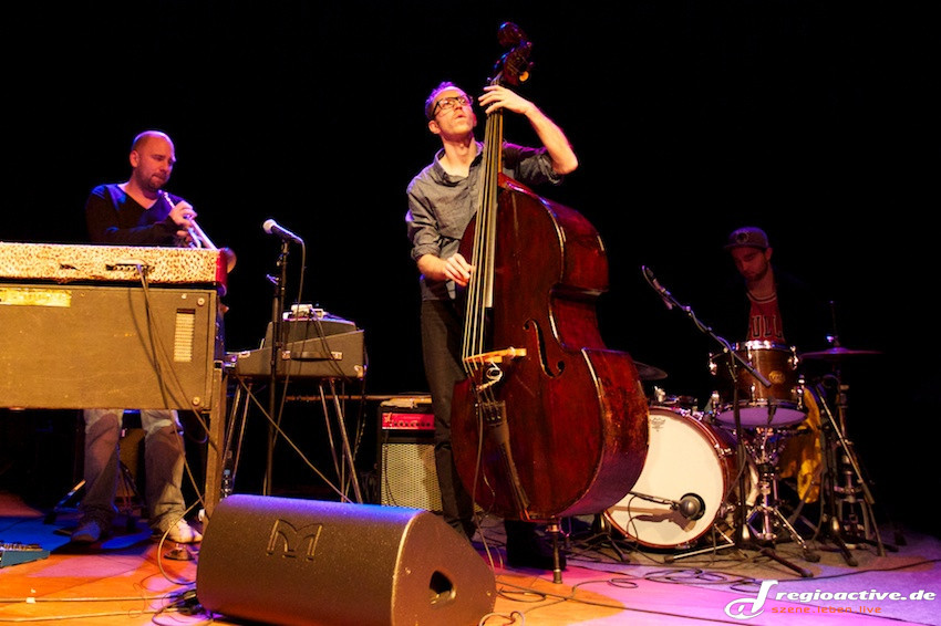 Strudnitzky (live in Hamburg, 2013)